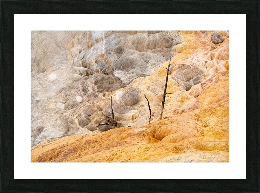 Mammoth Colors Picture Frame print