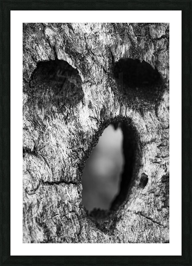 Cholla Scream Picture Frame print