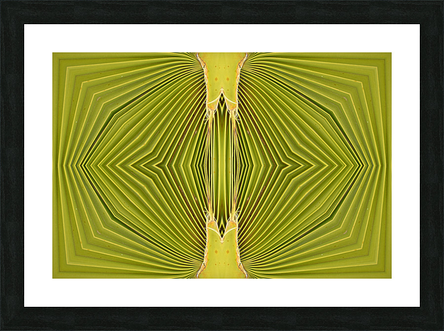 Double Palm Vision Picture Frame print