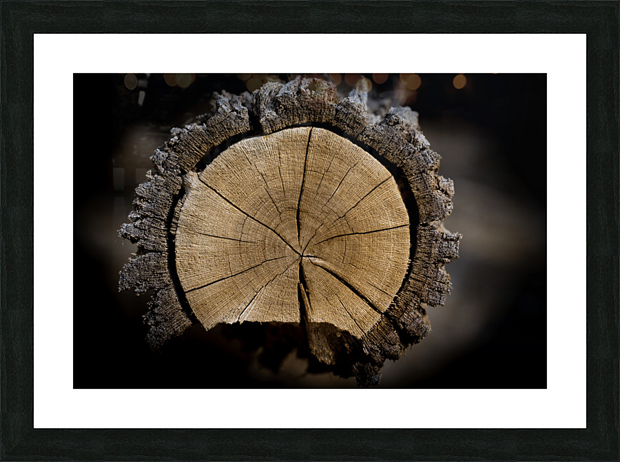 Wood Grains Picture Frame print