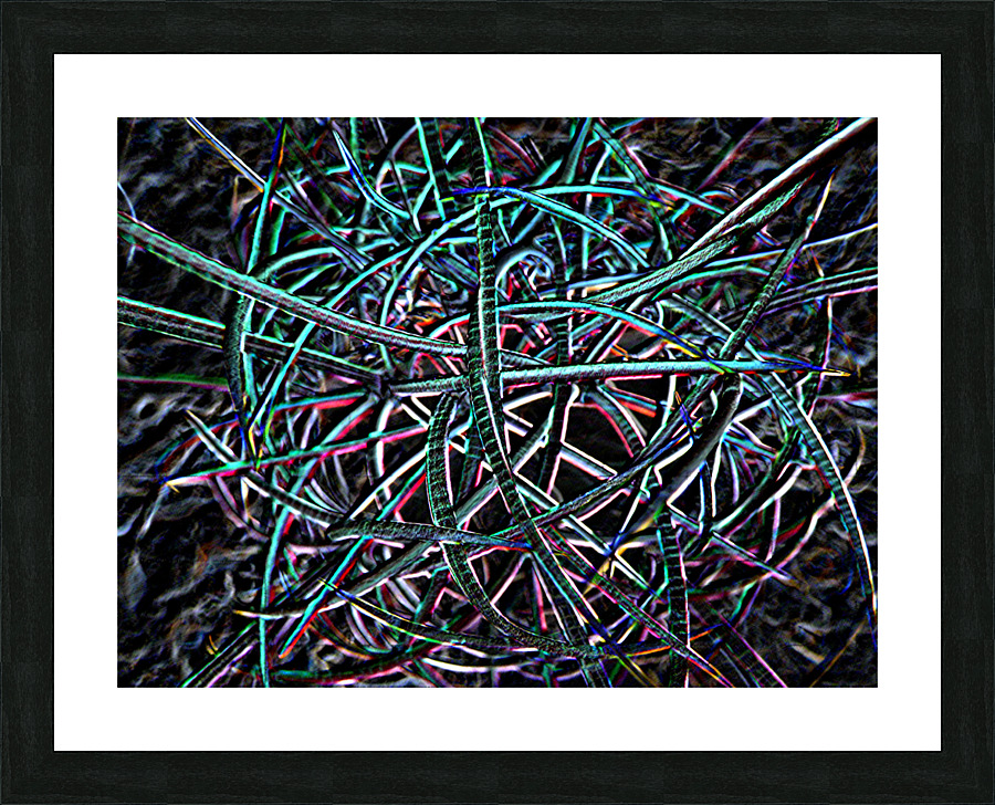 Cactus Confusion Picture Frame print