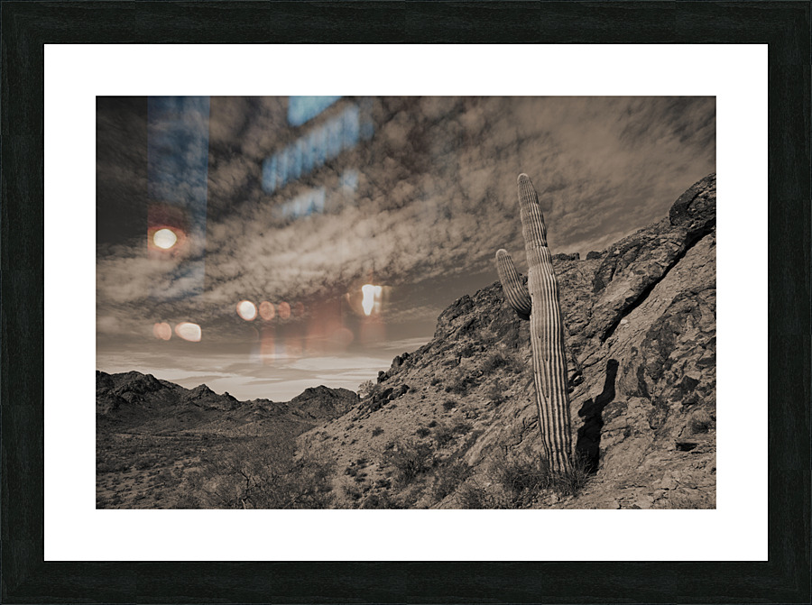 Saguaro Clouds Picture Frame print