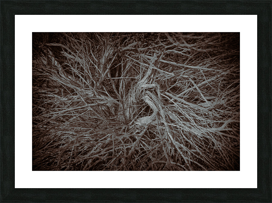 Twisted Darkness Picture Frame print