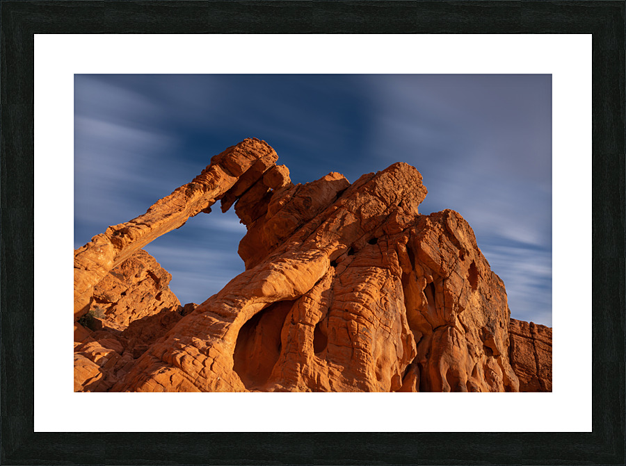 Charging Elephant Picture Frame print