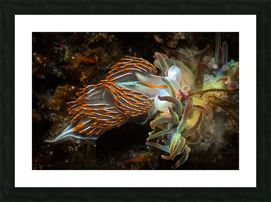 Cosmic Lunchtime Picture Frame print