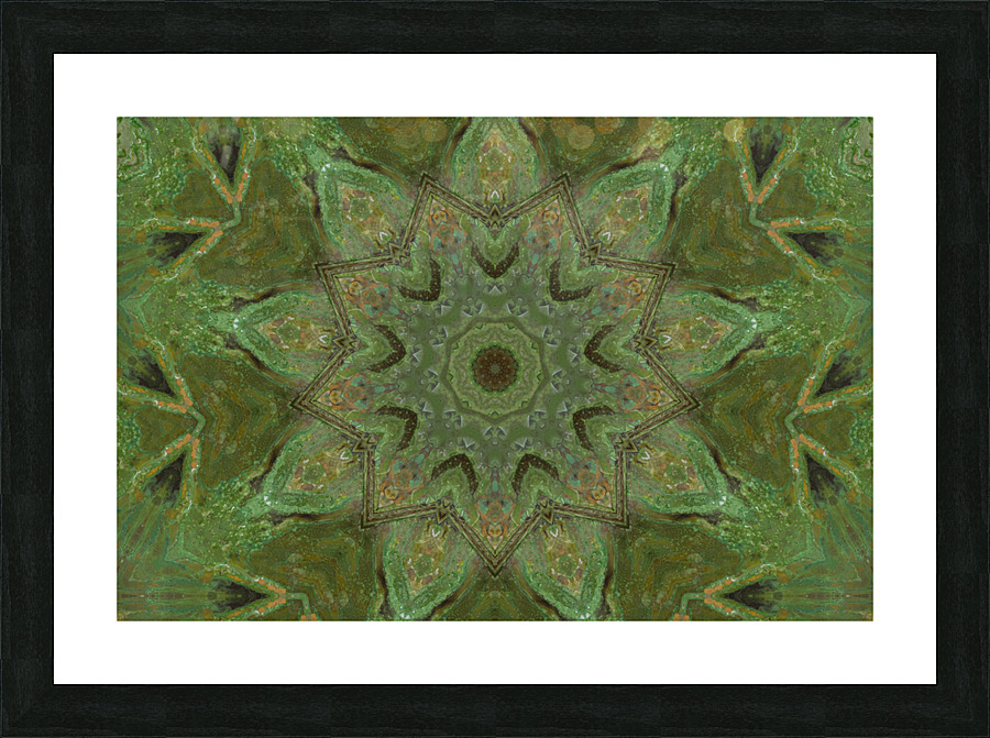 Green Doorways Picture Frame print