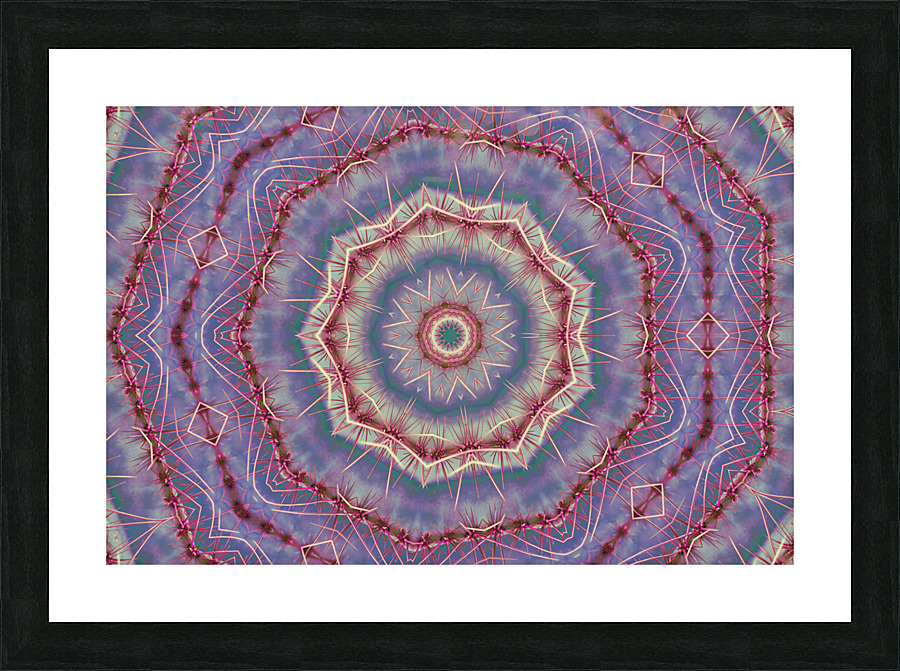 Concentric Cactus Picture Frame print