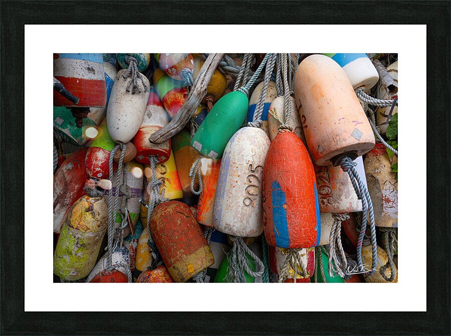 Bayfront Colors Picture Frame print