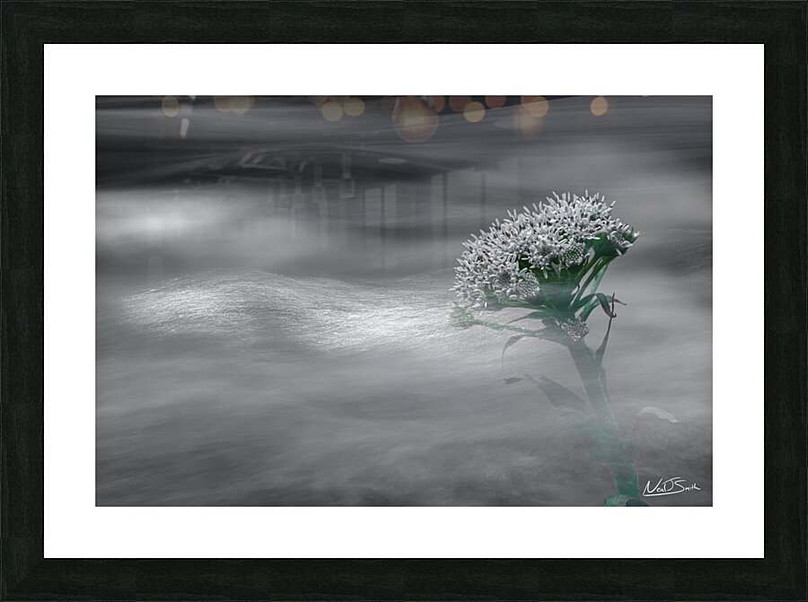 Flowing Flower Picture Frame print