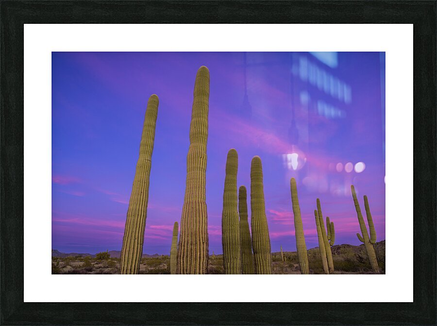 Saguaro Cityscape Picture Frame print