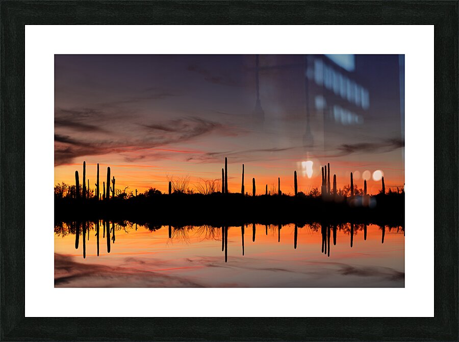 Reflected Roots Picture Frame print