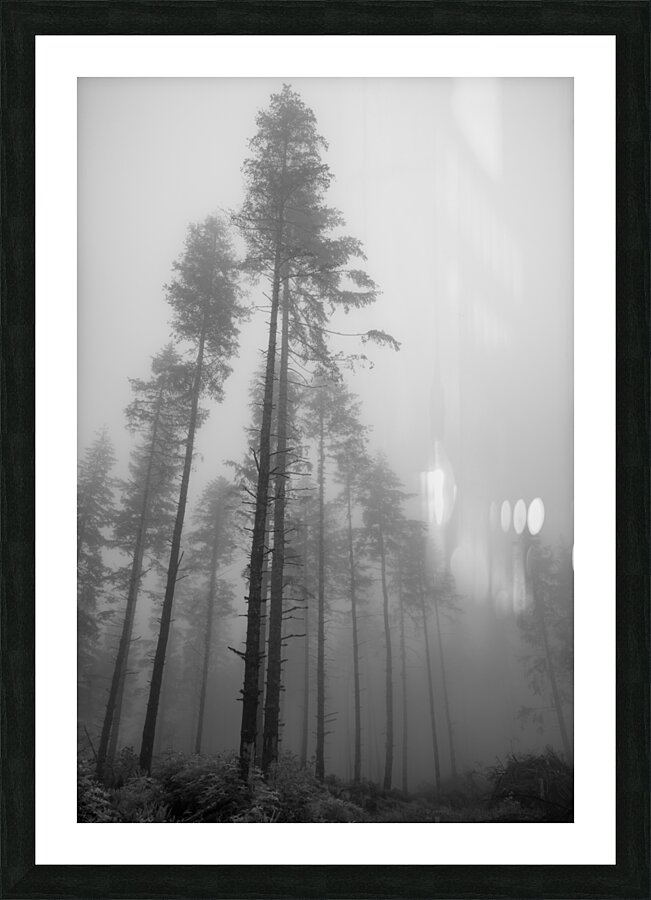 Limited Sight Picture Frame print