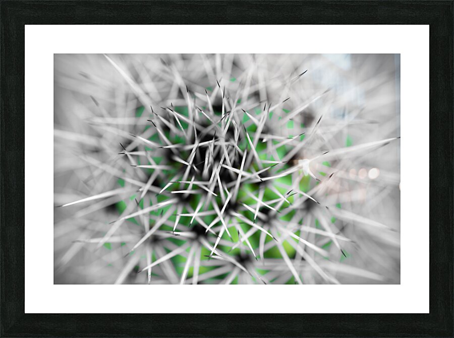 Protect The Green Picture Frame print