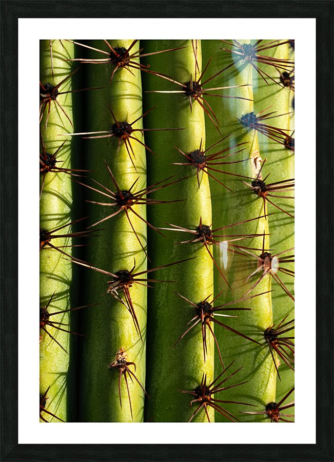 Lines and Light Picture Frame print