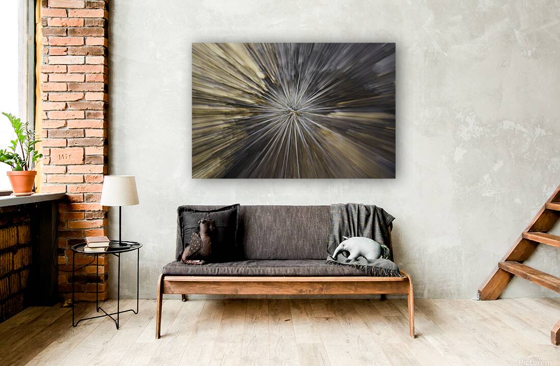 Cactus Supernova Reproduction