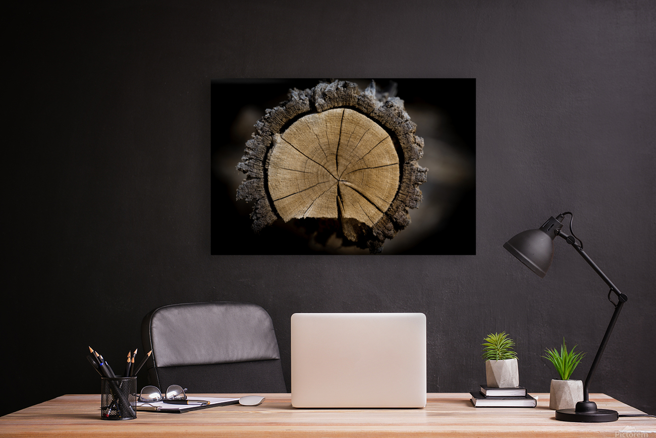 Wood Grains Reproduction