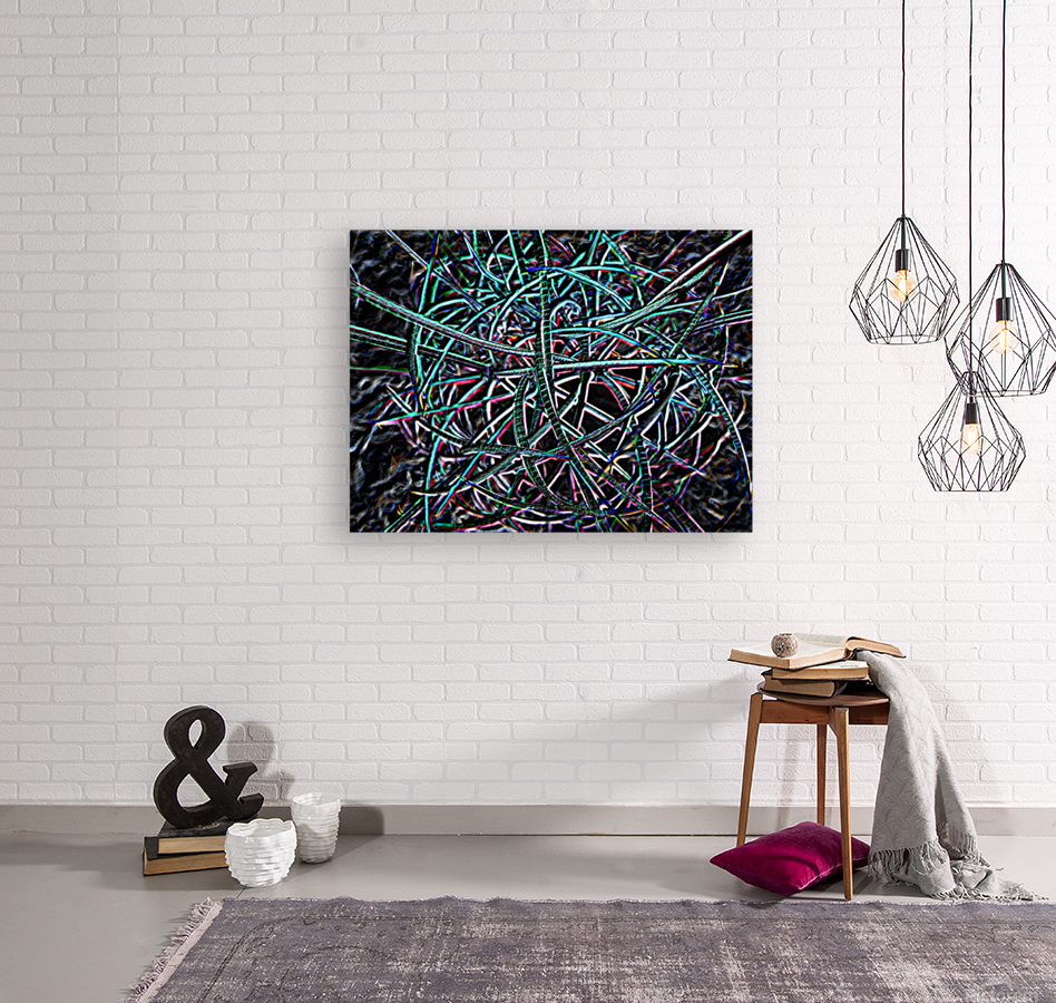 Cactus Confusion Reproduction