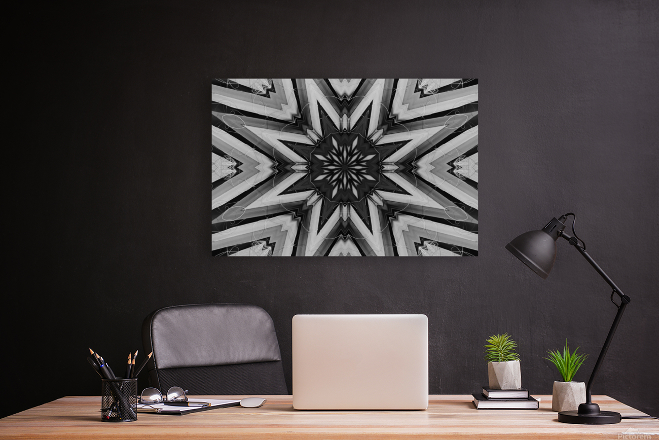 Dark Star Reproduction