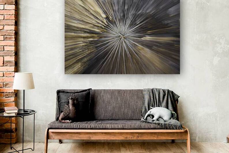 Cactus Supernova by Neal J Smith