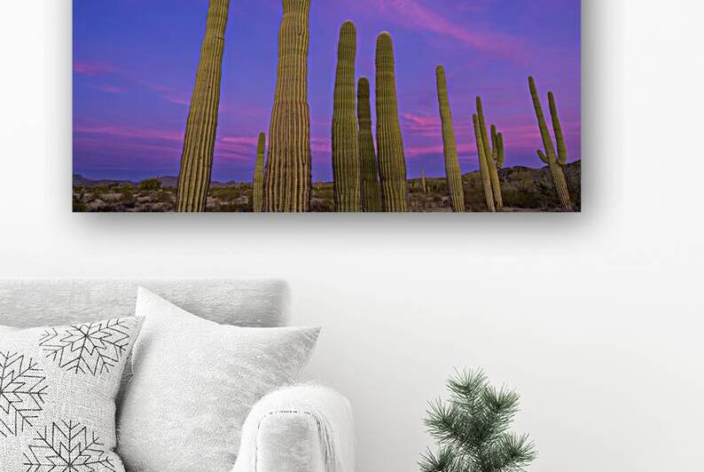 Saguaro Cityscape Reproduction
