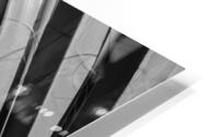 Dramatic Palm HD Metal print