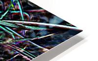 Cactus Confusion HD Metal print