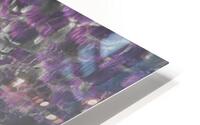 Urchin Reflections HD Metal print