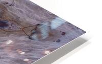 Hidden Faces HD Metal print
