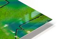 Green Immersion HD Metal print