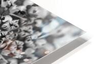 Flower Vision HD Metal print