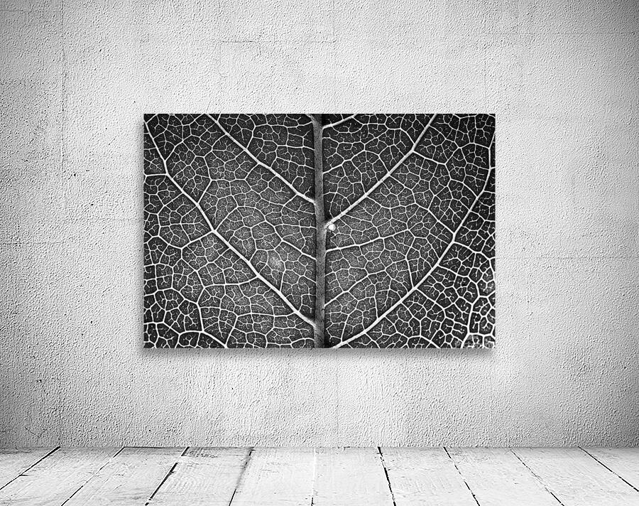 Trees Within Trees Wall Preview