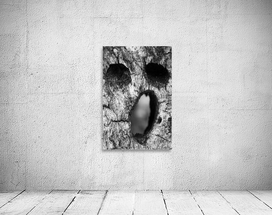 Cholla Scream Wall Preview