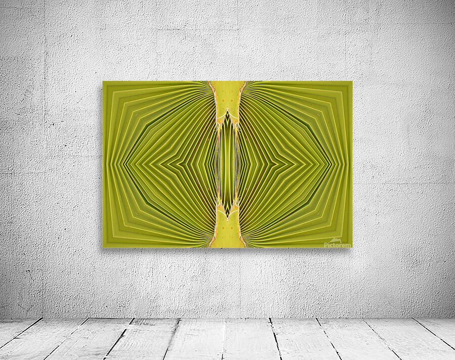 Double Palm Vision Wall Preview