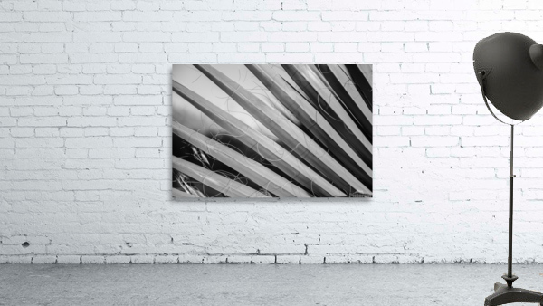Dramatic Palm Wall Preview