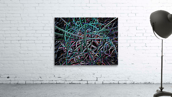 Cactus Confusion Wall Preview