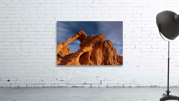 Charging Elephant Wall Preview