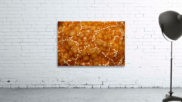 Star on Star Wall Preview
