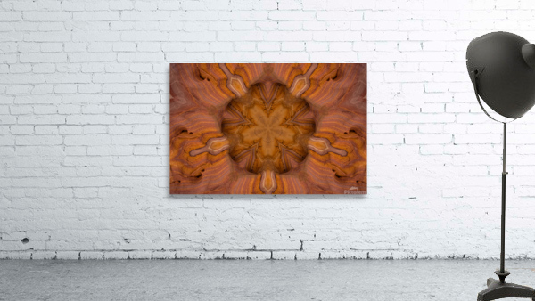 Desert Star Wall Preview