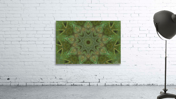Green Doorways Wall Preview