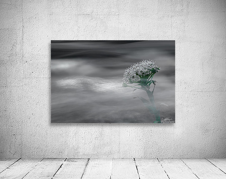 Flowing Flower Wall Preview