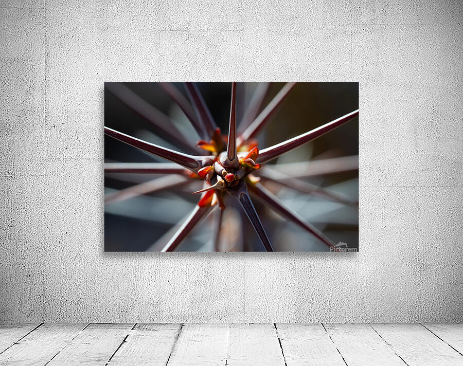 Spiraling Spines Wall Preview