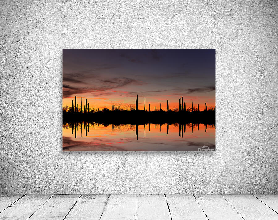 Reflected Roots Wall Preview