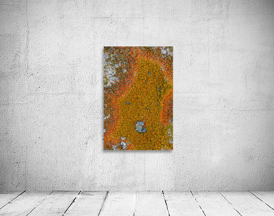 Face of Fire Wall Preview