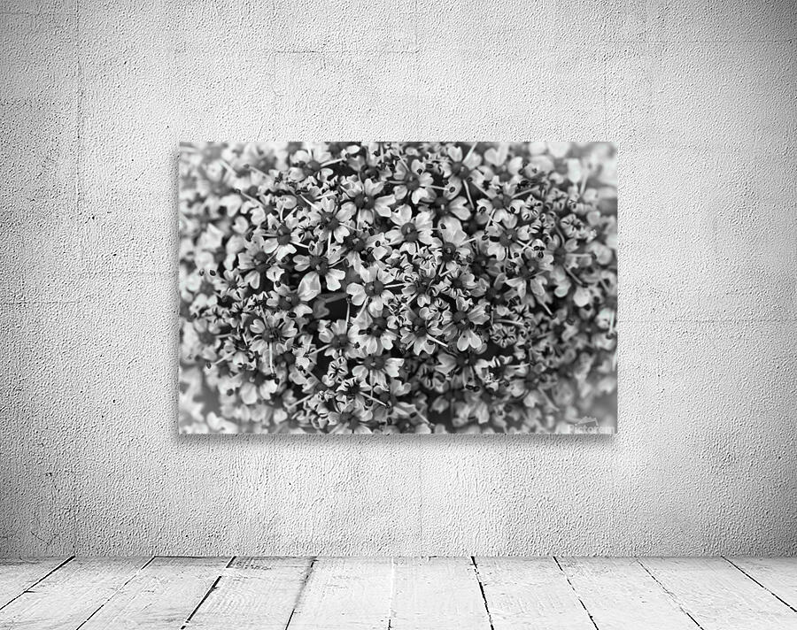 Flower Vision Wall Preview