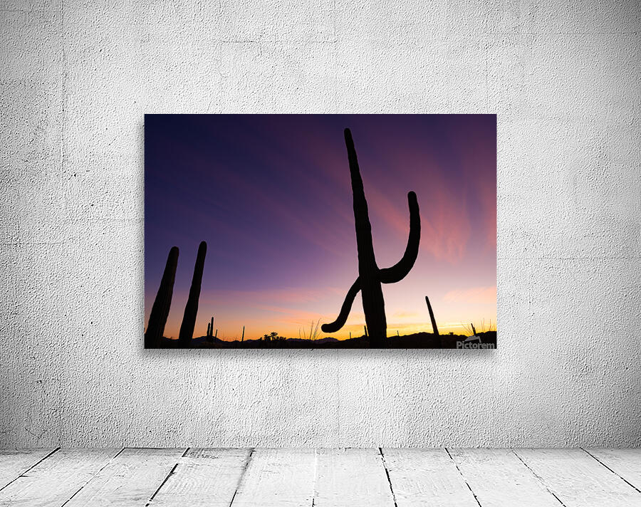 Sunset Salutation Wall Preview
