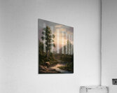 Peaceful Lake Scenery Acrylic Print