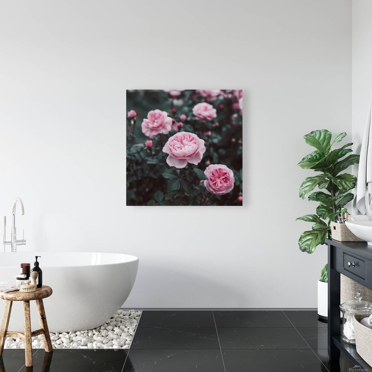 a photo of a pink rose flower with Reproduction