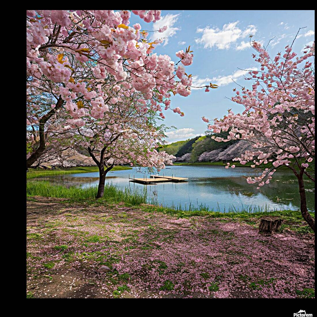 Spring in Bloom Reproduction