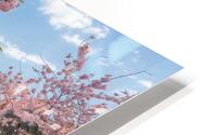 Spring in Bloom HD Metal print
