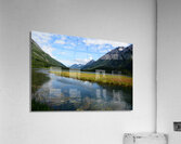 D71 9850 Acrylic Print